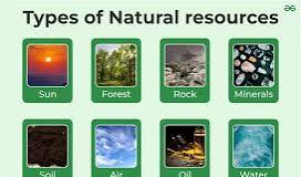 natural resources examples