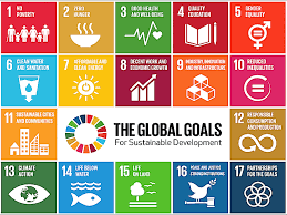 development goals
