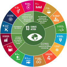 un development goals