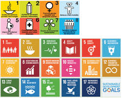 un millennium development goals