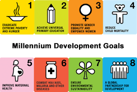 8 millennium development goals