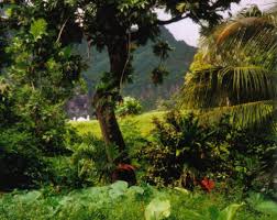 natural resource