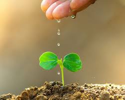 natural resources