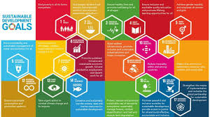 un sustainable development goals