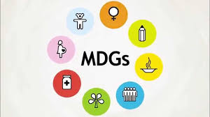 millennium development goals