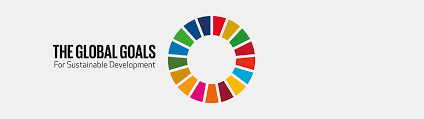 17 global goals