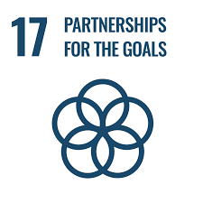 17 sdgs