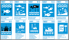 sdg 14