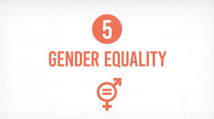 sdg 5