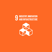 sdg 9