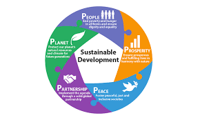 sustainable management