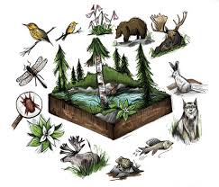 conservation biology