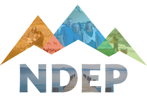 department of environmental protection