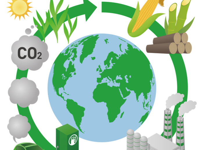 environment and sustainability