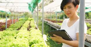 sustainable agriculture