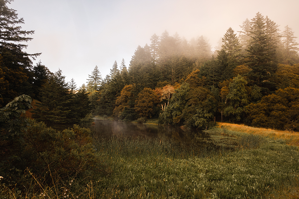 energy and environment