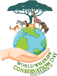 wildlife conservation