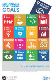 17 sustainable goals