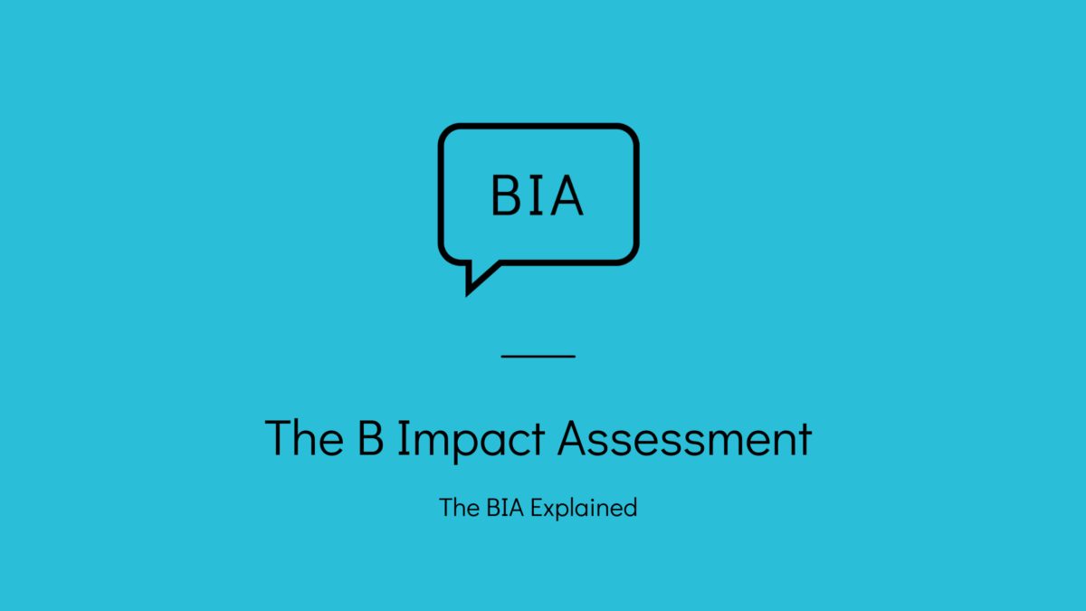 impact assessment