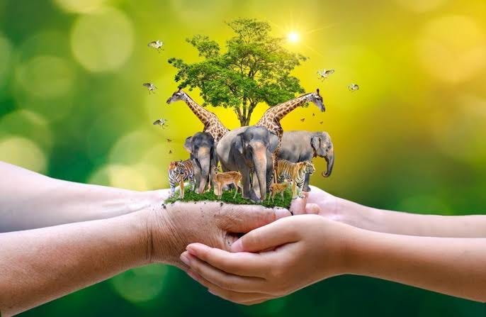 wildlife protection
