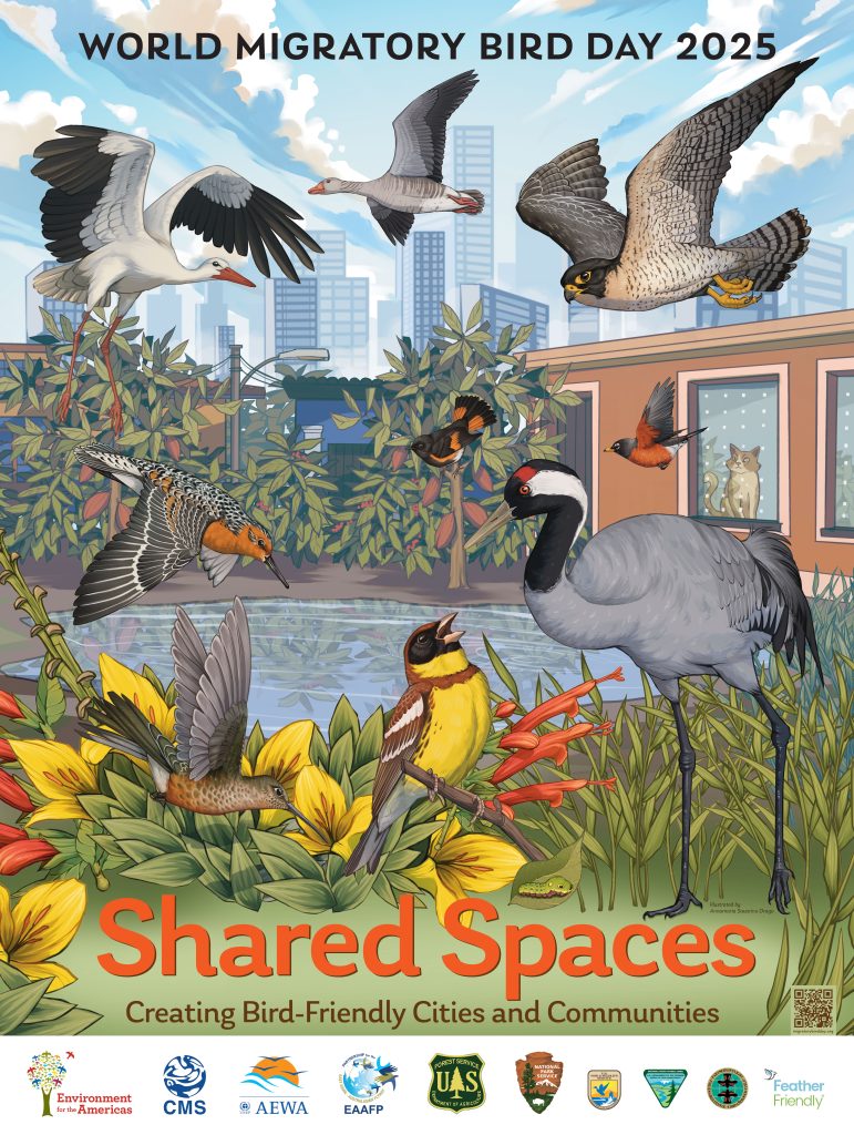 bird conservation