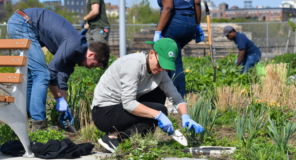 environmental volunteering