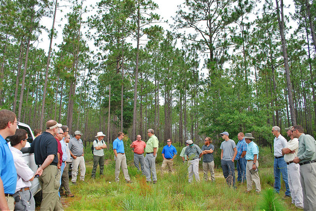 conservation projects