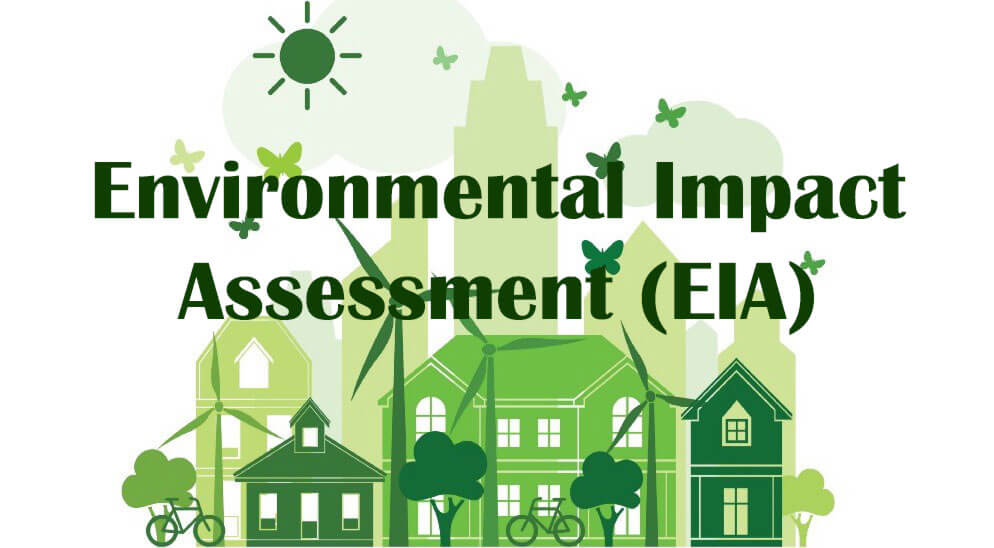 eco friendly assessment