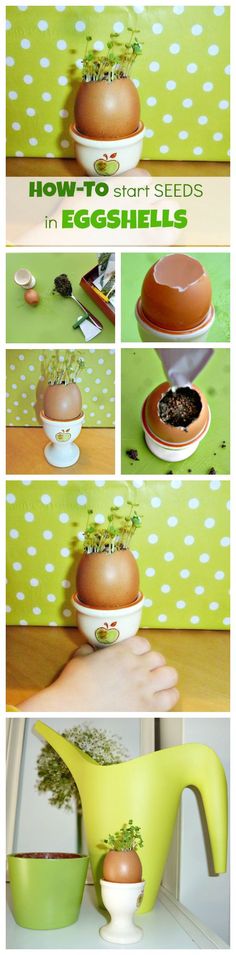 eco friendly projects for students