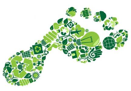 ecological sustainability