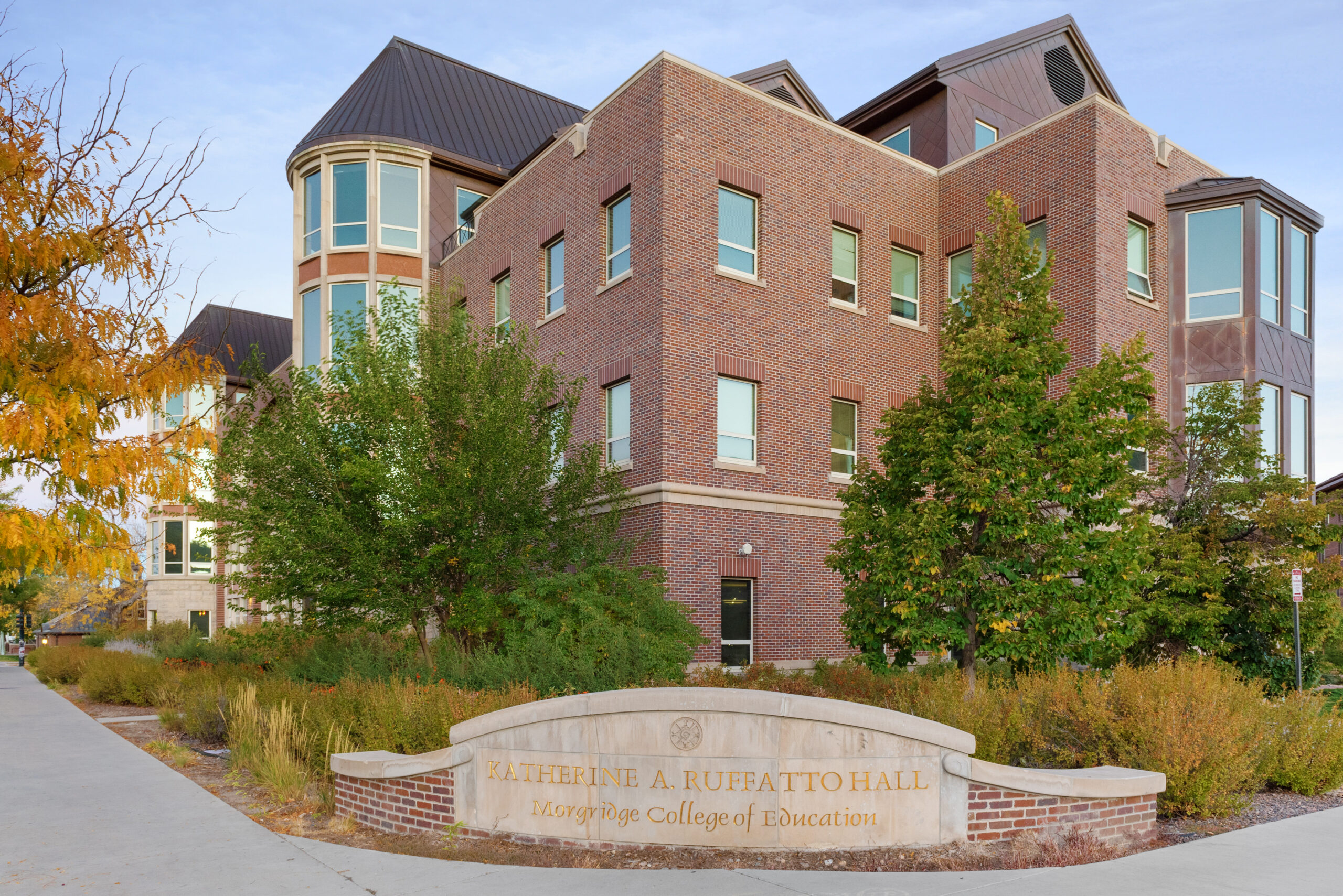 university of education